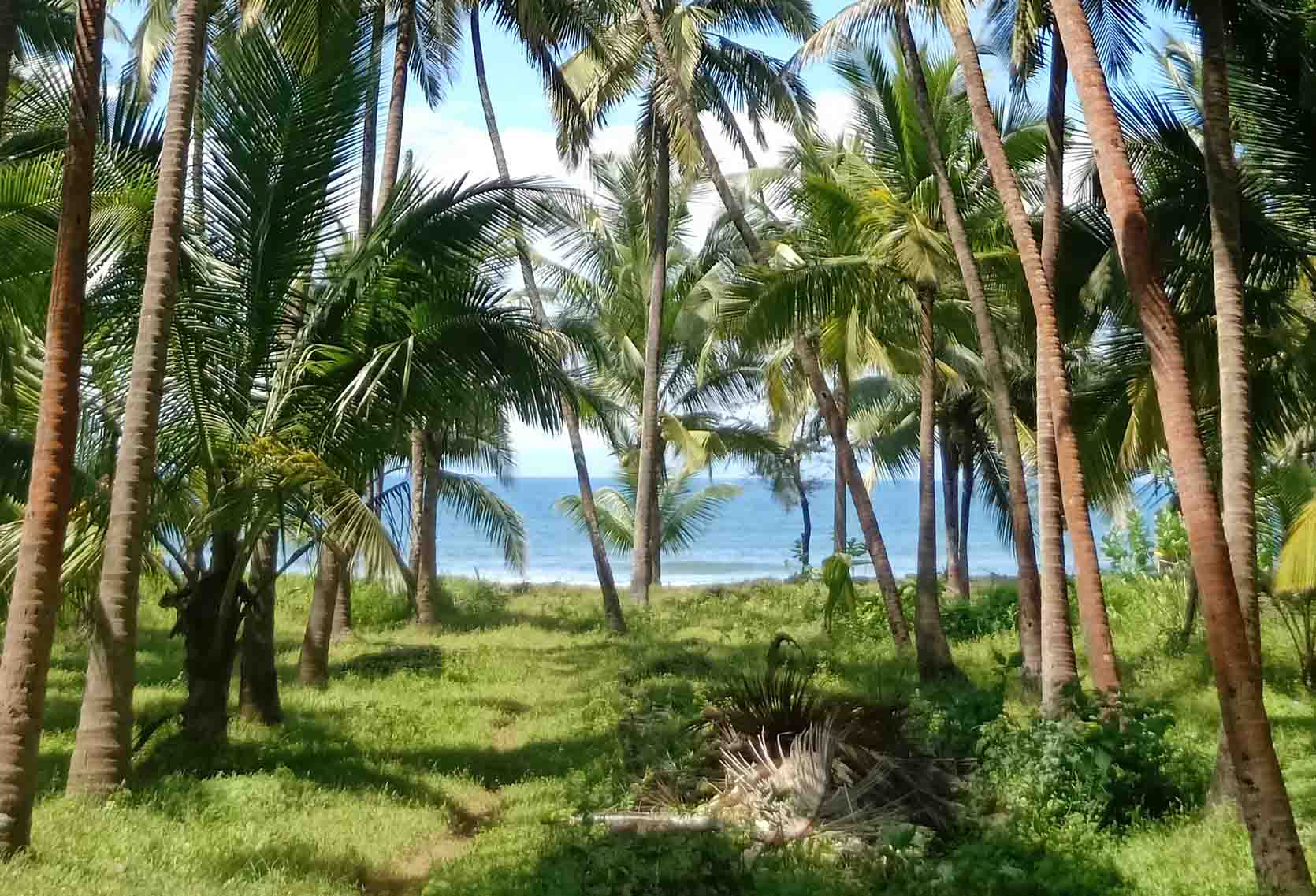 Dwarka cottage sea view